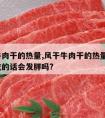 风干牛肉干的热量,风干牛肉干的热量高吗?经常吃的话会发胖吗?