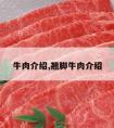 牛肉介绍,翘脚牛肉介绍