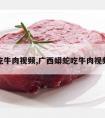 吃牛肉视频,广西蟒蛇吃牛肉视频