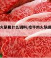 吃牛肉火锅用什么调料,吃牛肉火锅用什么调料最好