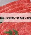 牛肉名称部位对应图,牛肉各部位的名称图解