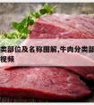 牛肉分类部位及名称图解,牛肉分类部位及名称图解视频