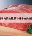 炖牛肉的热量,萝卜炖牛肉的热量