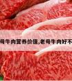 老母牛肉营养价值,老母牛肉好不好