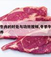 冬天吃牛肉的好处与功效视频,冬季牛肉怎么吃有营养