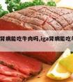 iga肾病能吃牛肉吗,iga肾病能吃羊肉吗