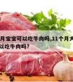 11个月宝宝可以吃牛肉吗,11个月大的宝宝可以吃牛肉吗?