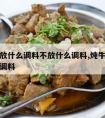 炖牛肉放什么调料不放什么调料,炖牛肉时不放什么调料