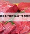 风干牛肉长毛了能吃吗,风干牛肉发毛还能吃吗