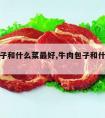 牛肉包子和什么菜最好,牛肉包子和什么菜最好吃