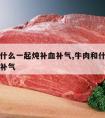 牛肉和什么一起炖补血补气,牛肉和什么一起吃补血补气