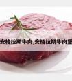 安格拉斯牛肉,安格拉斯牛肉堡