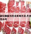 牛肉的部位图解与吃法食用方法,牛肉全身部位图解怎么吃