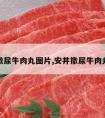 安井撒尿牛肉丸图片,安井撒尿牛肉丸成分