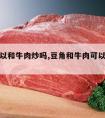 豆角可以和牛肉炒吗,豆角和牛肉可以一起炒么