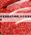 10个月宝宝能吃牛肉吗,10个月宝宝能吃牛肉吗