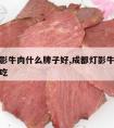 成都灯影牛肉什么牌子好,成都灯影牛肉什么牌子好吃