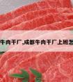 成都牛肉干厂,成都牛肉干厂上班怎么样