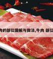 牛肉的部位图解与做法,牛肉 部位 图