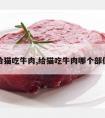 给猫吃牛肉,给猫吃牛肉哪个部位