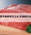 怎样煮生牛肉好吃不上火,牛肉和什么煮不上火