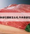 牛肉全身部位图解怎么吃,牛肉各部位怎么吃