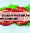 牛肉各个部位的名称和吃法图解,牛肉各个部位的名称和吃法图解图片