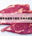 阿兰那牛肉是哪个国家,牛肉大国是哪国