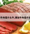 潮汕牛肉是什么牛,潮汕牛肉是什么牛?