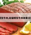 给猫喂生牛肉,给猫喂生牛肉需要注意什么