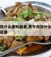 煮牛肉放什么香料最香,煮牛肉放什么调料比较好吃还香