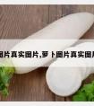 萝卜图片真实图片,萝卜图片真实图片高清