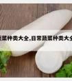 日常蔬菜种类大全,日常蔬菜种类大全图片 青菜