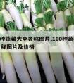 100种蔬菜大全名称图片,100种蔬菜大全名称图片及价格