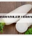 红萝卜的功效与作用,红萝卜的功效与作用及禁忌