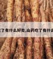 山药吃了有什么好处,山药吃了有什么好处?