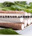 山药有什么作用与功效,山药有哪些功效和作用