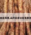 山药去皮后发黑,山药去皮以后发黑怎么回事