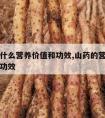 山药有什么营养价值和功效,山药的营养价值与食用功效