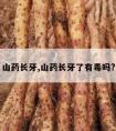 山药长牙,山药长牙了有毒吗?