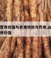 山药的营养价值与食用功效与作用,山药的功效及营养价值