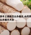 山药弄到手上很痒怎么办偏方,山药弄到手上很痒怎么办偏方大全