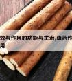 山药功效与作用的功能与主治,山药作用和功效与作用