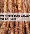 山药的功效与作用主要治什么病,山药的功效与作用主要治什么病症