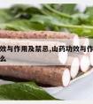 山药功效与作用及禁忌,山药功效与作用及禁忌是什么