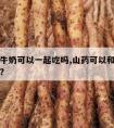 山药和牛奶可以一起吃吗,山药可以和牛奶一起吃吗?