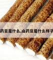 山药豆是什么,山药豆是什么样子的