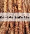 淮山药有什么功效,淮山药材有什么功效