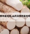 山药没煮熟能吃吗,山药没煮熟能吃吗会中毒吗