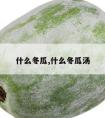 什么冬瓜,什么冬瓜汤